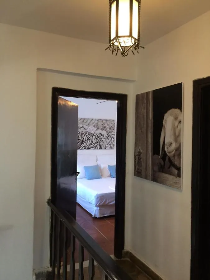 White Sand Villa Koviou Beach Nikiti Sithonia Casa vacanze